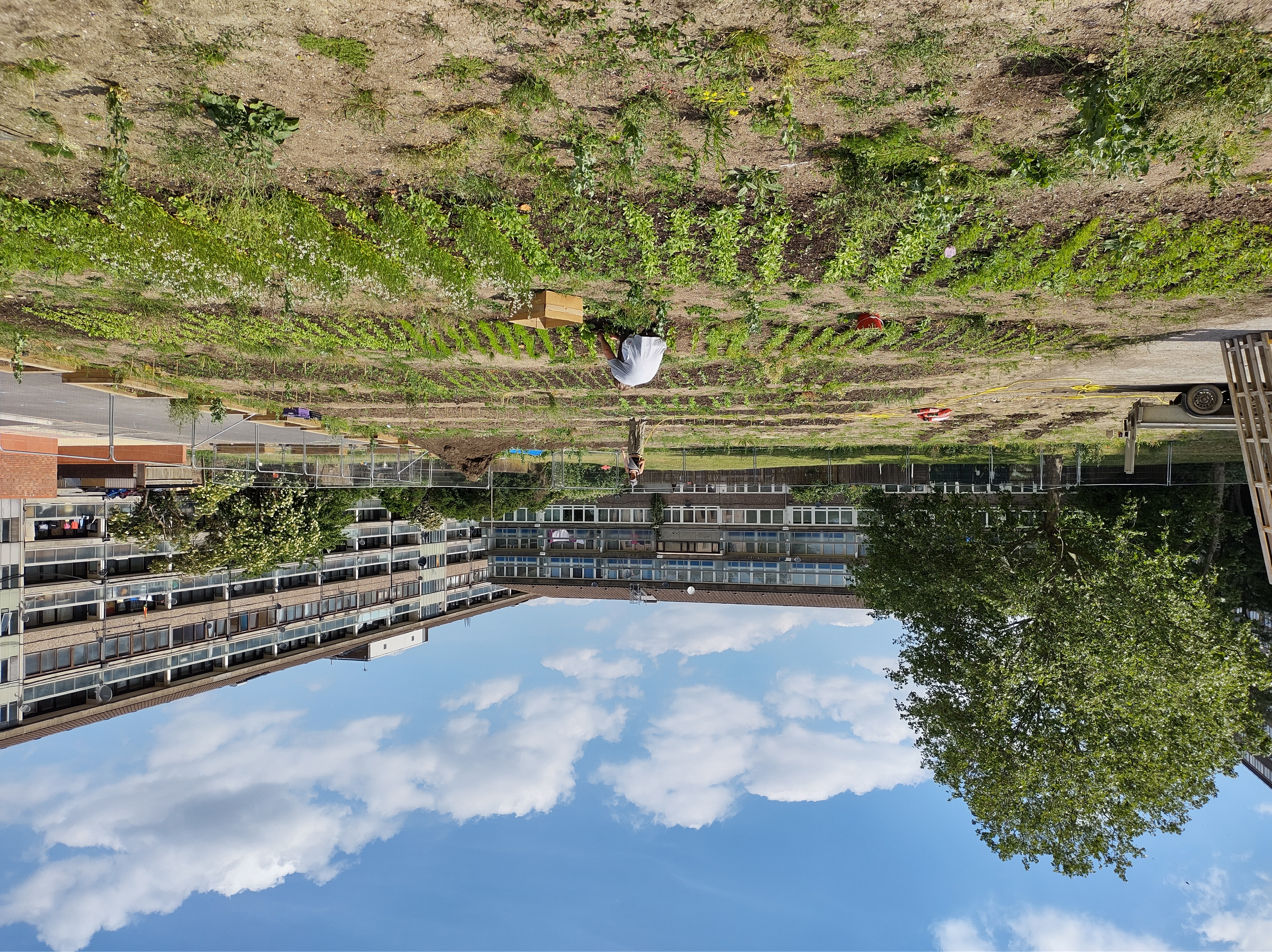 35_OKGrow-Aylesbury-estate.jpg