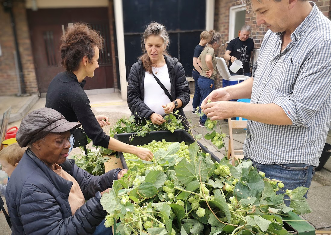 People picking hops